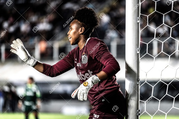 230327_Santos_1x1_Palmeiras)Brasileirão_foto Dennis Calçada 01 (304)-1.jpg