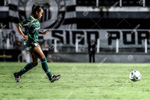 230327_Santos_1x1_Palmeiras)Brasileirão_foto Dennis Calçada 01 (552)-1.jpg