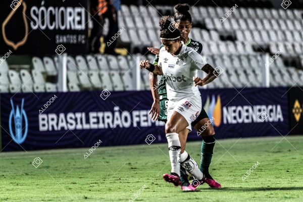 230327_Santos_1x1_Palmeiras)Brasileirão_foto Dennis Calçada 01 (360)-1.jpg