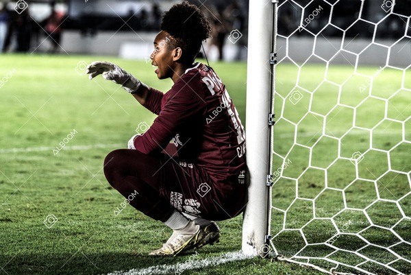 230327_Santos_1x1_Palmeiras)Brasileirão_foto Dennis Calçada 01 (298)-1.jpg