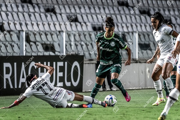 230327_Santos_1x1_Palmeiras)Brasileirão_foto Dennis Calçada 01 (236)-1.jpg
