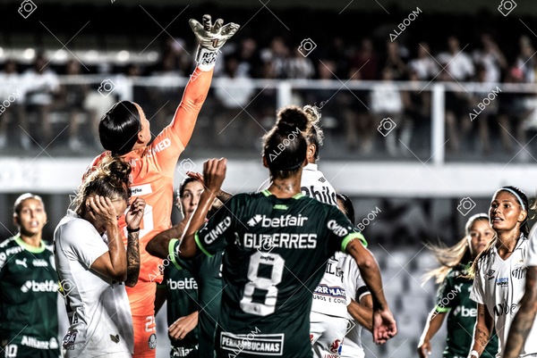 230327_Santos_1x1_Palmeiras)Brasileirão_foto Dennis Calçada 01 (683)-1.jpg
