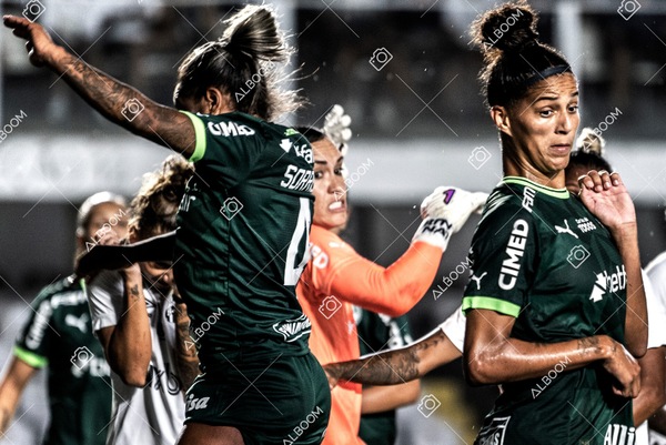 230327_Santos_1x1_Palmeiras)Brasileirão_foto Dennis Calçada 01 (685)-1.jpg
