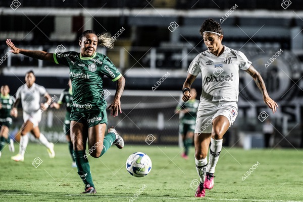 230327_Santos_1x1_Palmeiras)Brasileirão_foto Dennis Calçada 01 (595)-1.jpg