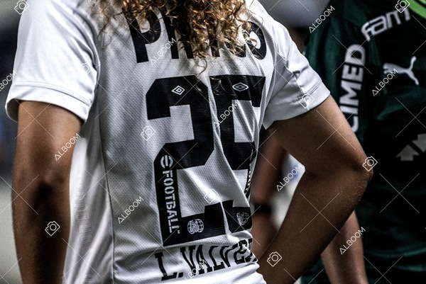 230327_Santos_1x1_Palmeiras)Brasileirão_foto Dennis Calçada 01 (130)-1.jpg
