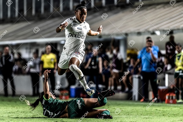 230327_Santos_1x1_Palmeiras)Brasileirão_foto Dennis Calçada 01 (614)-1.jpg