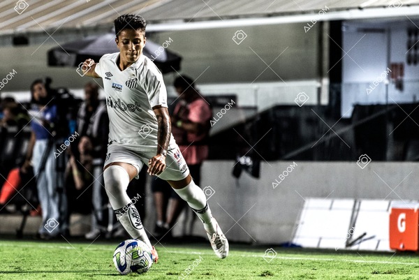 230327_Santos_1x1_Palmeiras)Brasileirão_foto Dennis Calçada 01 (575)-1.jpg