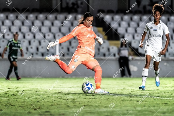 230327_Santos_1x1_Palmeiras)Brasileirão_foto Dennis Calçada 01 (571)-1.jpg