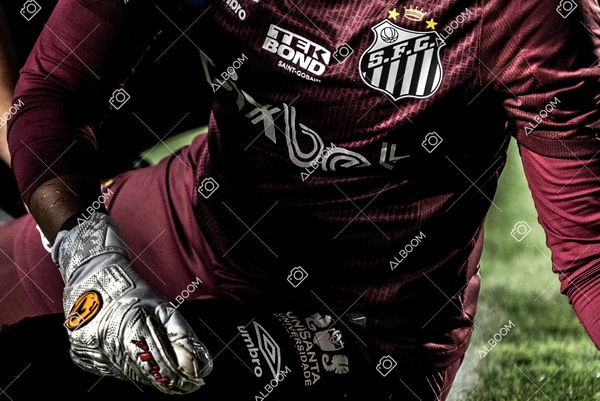 230327_Santos_1x1_Palmeiras)Brasileirão_foto Dennis Calçada 01 (466)-1.jpg
