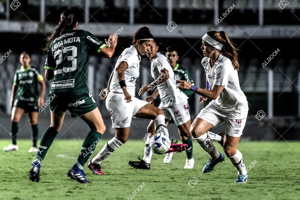 230327_Santos_1x1_Palmeiras)Brasileirão_foto Dennis Calçada 01 (553)-1.jpg