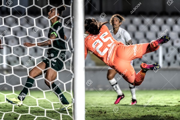 230327_Santos_1x1_Palmeiras)Brasileirão_foto Dennis Calçada 01 (672)-1.jpg
