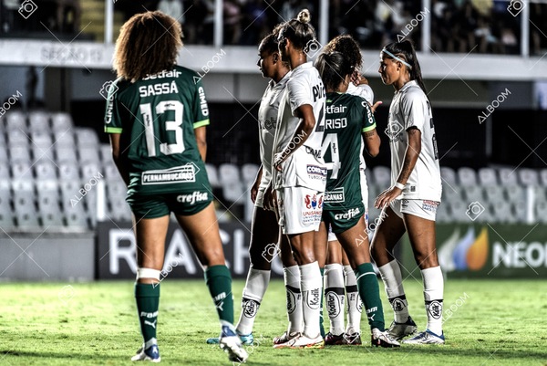 230327_Santos_1x1_Palmeiras)Brasileirão_foto Dennis Calçada 01 (720)-1.jpg