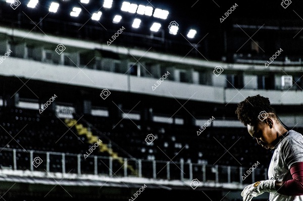 230327_Santos_1x1_Palmeiras)Brasileirão_foto Dennis Calçada 01 (788)-1.jpg