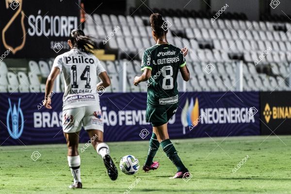 230327_Santos_1x1_Palmeiras)Brasileirão_foto Dennis Calçada 01 (448)-1.jpg