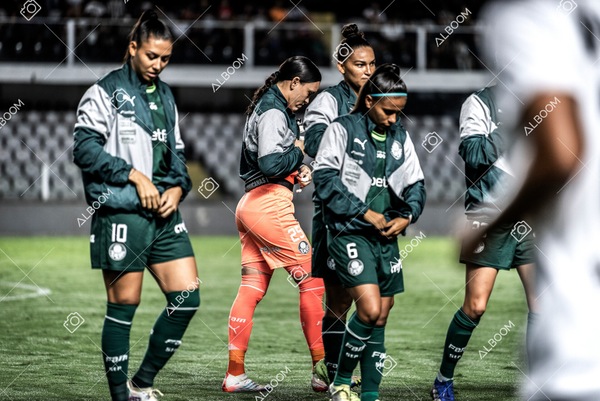230327_Santos_1x1_Palmeiras)Brasileirão_foto Dennis Calçada 01 (178)-1.jpg
