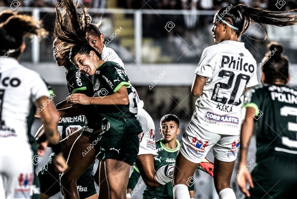 230327_Santos_1x1_Palmeiras)Brasileirão_foto Dennis Calçada 01 (642)-1.jpg