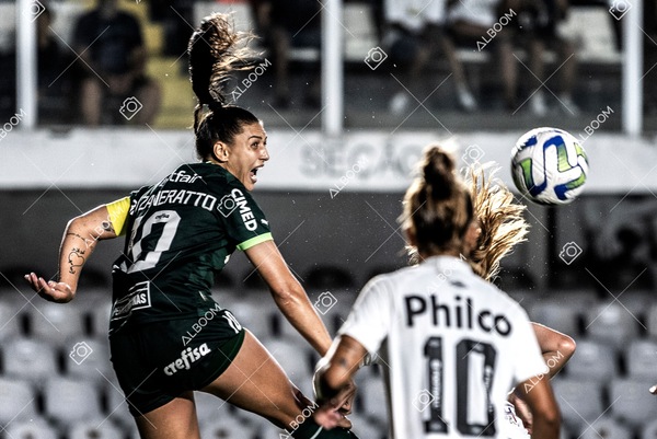 230327_Santos_1x1_Palmeiras)Brasileirão_foto Dennis Calçada 01 (635)-1.jpg