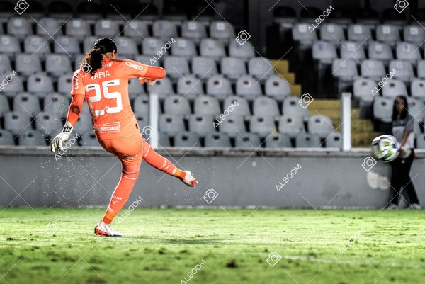 230327_Santos_1x1_Palmeiras)Brasileirão_foto Dennis Calçada 01 (709)-1.jpg