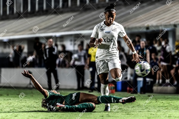 230327_Santos_1x1_Palmeiras)Brasileirão_foto Dennis Calçada 01 (613)-1.jpg