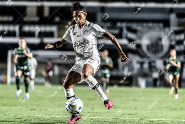 230327_Santos_1x1_Palmeiras)Brasileirão_foto Dennis Calçada 01 (597)-1.jpg