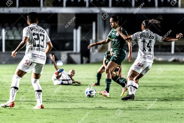 230327_Santos_1x1_Palmeiras)Brasileirão_foto Dennis Calçada 01 (263)-1.jpg
