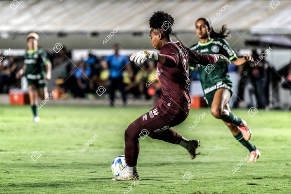 230327_Santos_1x1_Palmeiras)Brasileirão_foto Dennis Calçada 01 (288)-1.jpg