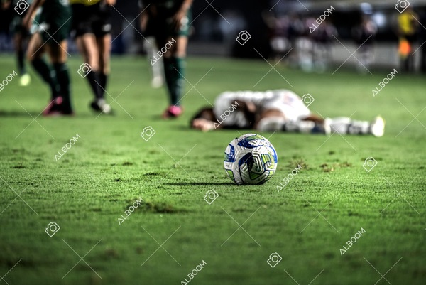 230327_Santos_1x1_Palmeiras)Brasileirão_foto Dennis Calçada 01 (661)-1.jpg