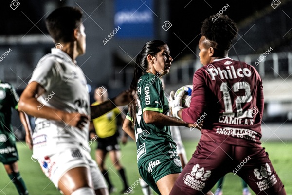 230327_Santos_1x1_Palmeiras)Brasileirão_foto Dennis Calçada 01 (315)-1.jpg