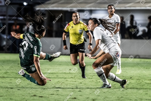 230327_Santos_1x1_Palmeiras)Brasileirão_foto Dennis Calçada 01 (390)-1.jpg