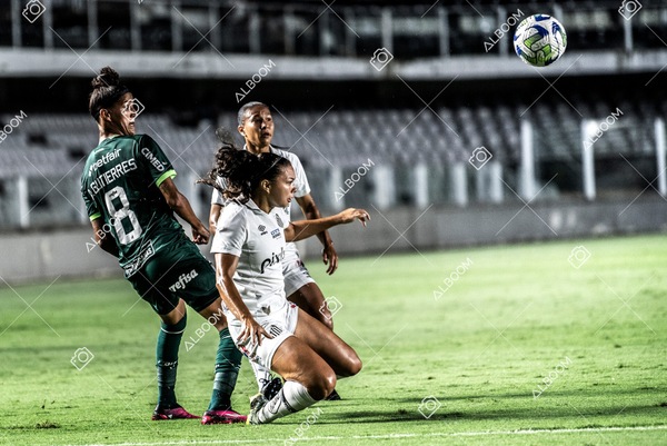 230327_Santos_1x1_Palmeiras)Brasileirão_foto Dennis Calçada 01 (291)-1.jpg