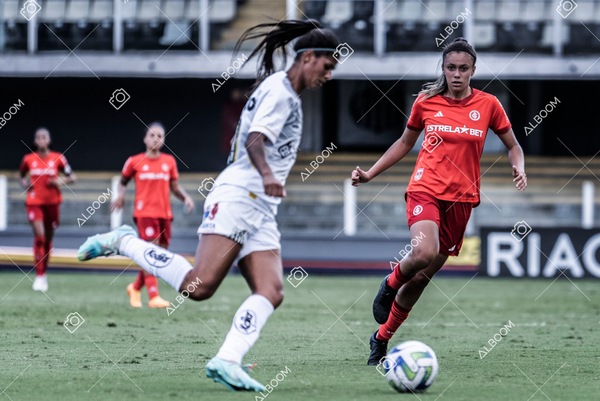 230430_Santos_2x1_Internacional_Brasileirão_foto Dennis Calçada_01 (487)-1.jpg