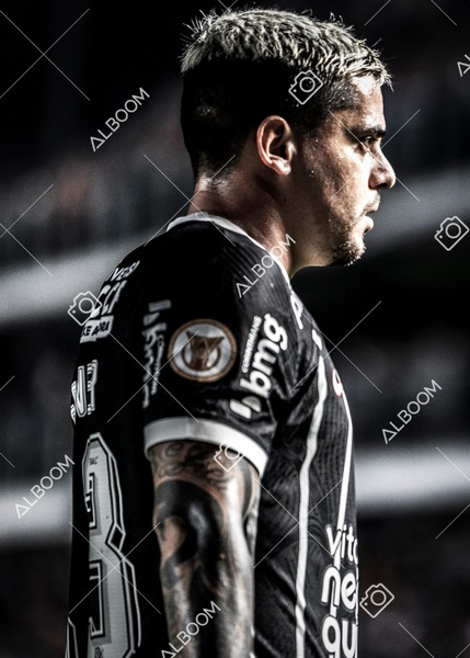 230621_Santos_0x2_Corinthians_Brasileirão_foto Dennis Calçada_01 (292)-1.jpg