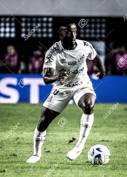 230621_Santos_0x2_Corinthians_Brasileirão_foto Dennis Calçada_01 (348)-1.jpg
