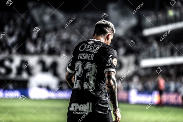 230621_Santos_0x2_Corinthians_Brasileirão_foto Dennis Calçada_01 (376)-1.jpg