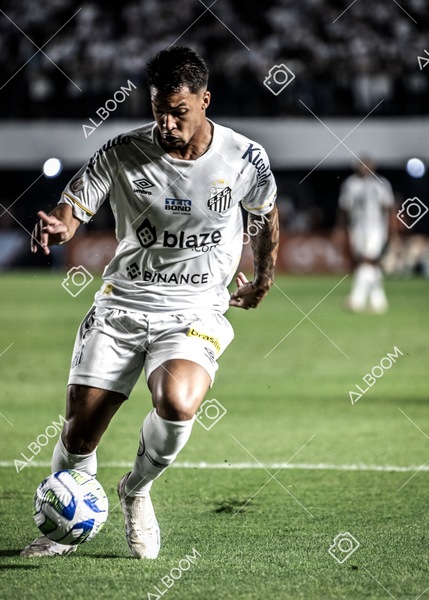 230621_Santos_0x2_Corinthians_Brasileirão_foto Dennis Calçada_01 (267)-1.jpg