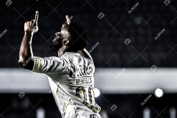 230625_Santos_2x3_Flamengo_Brasileirão_foto Dennis Calçada_01 (354)-1.jpg
