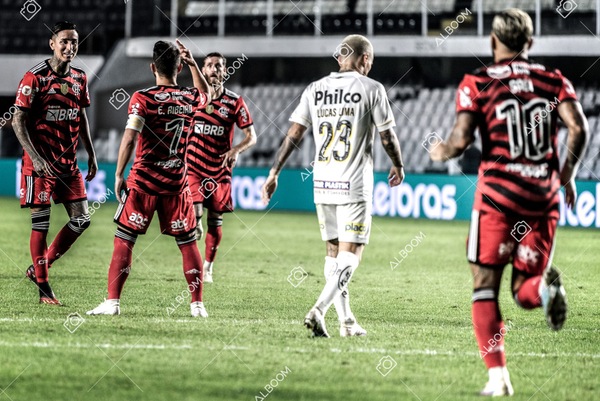 230625_Santos_2x3_Flamengo_Brasileirão_foto Dennis Calçada_01 (404)-1.jpg