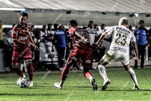 230625_Santos_2x3_Flamengo_Brasileirão_foto Dennis Calçada_01 (387)-1.jpg