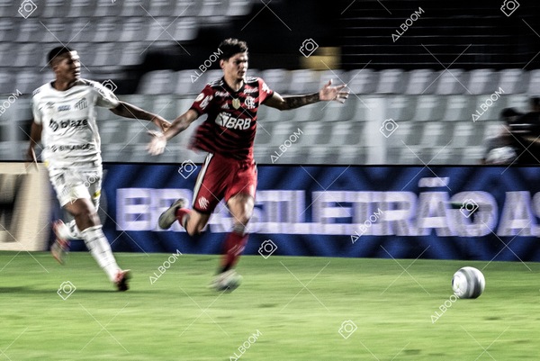 230625_Santos_2x3_Flamengo_Brasileirão_foto Dennis Calçada_01 (642)-1.jpg