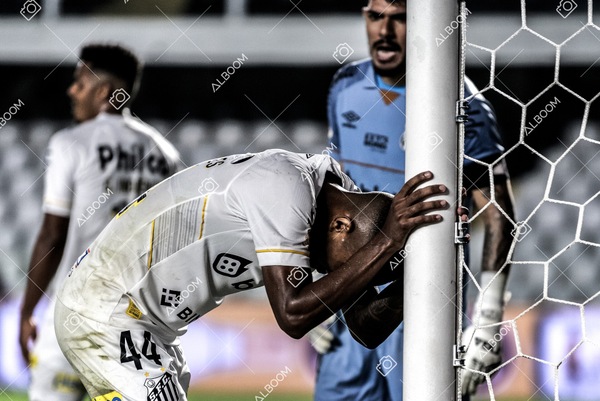 230625_Santos_2x3_Flamengo_Brasileirão_foto Dennis Calçada_01 (766)-1.jpg