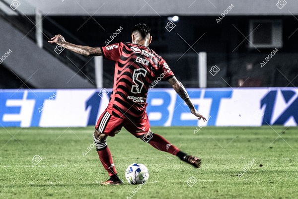 230625_Santos_2x3_Flamengo_Brasileirão_foto Dennis Calçada_01 (283)-1.jpg