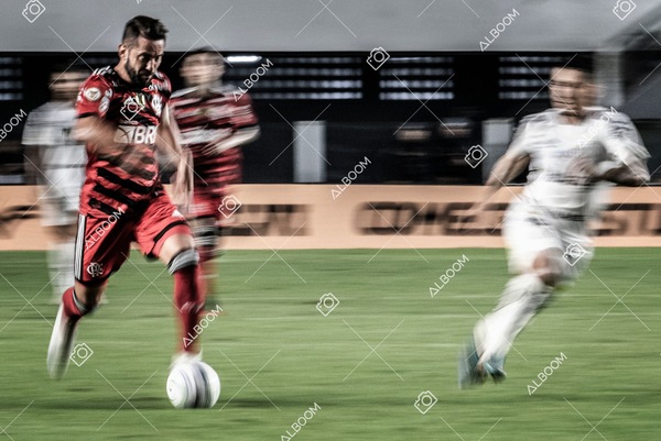230625_Santos_2x3_Flamengo_Brasileirão_foto Dennis Calçada_01 (547)-1.jpg