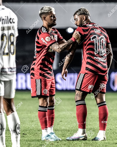 230625_Santos_2x3_Flamengo_Brasileirão_foto Dennis Calçada_01 (567)-1A.jpg