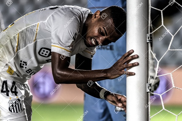 230625_Santos_2x3_Flamengo_Brasileirão_foto Dennis Calçada_01 (767)-1.jpg