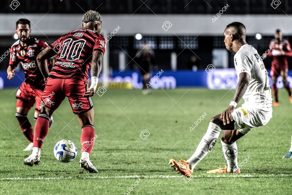230625_Santos_2x3_Flamengo_Brasileirão_foto Dennis Calçada_01 (474)-1.jpg