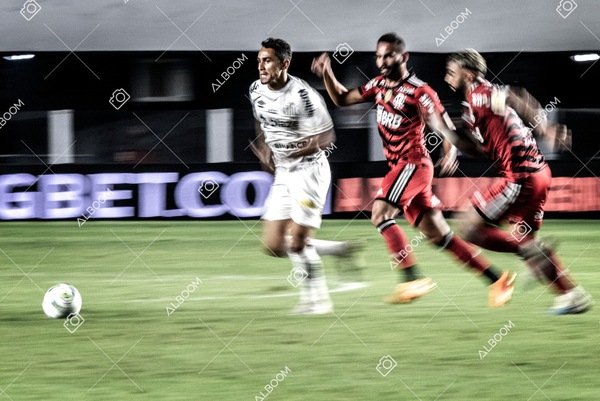 230625_Santos_2x3_Flamengo_Brasileirão_foto Dennis Calçada_01 (636)-1.jpg
