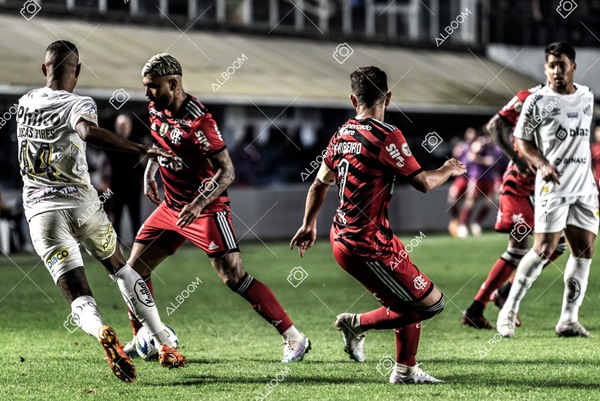 230625_Santos_2x3_Flamengo_Brasileirão_foto Dennis Calçada_01 (464)-1.jpg