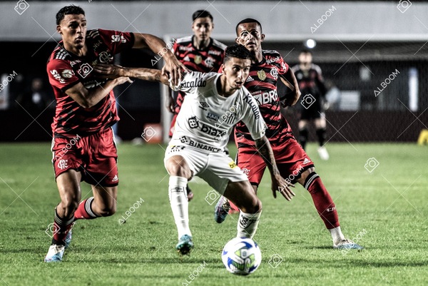 230625_Santos_2x3_Flamengo_Brasileirão_foto Dennis Calçada_01 (382)-1.jpg
