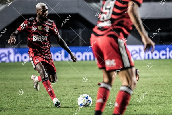 230625_Santos_2x3_Flamengo_Brasileirão_foto Dennis Calçada_01 (697)-1.jpg
