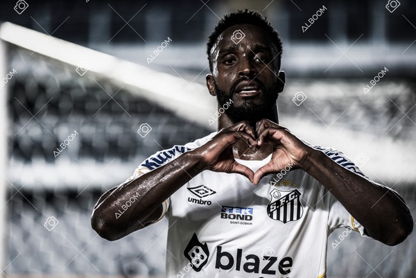 230625_Santos_2x3_Flamengo_Brasileirão_foto Dennis Calçada_01 (323).jpg